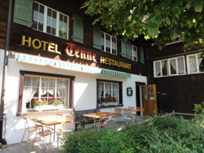 Отель Hotel Tenne, Ленк